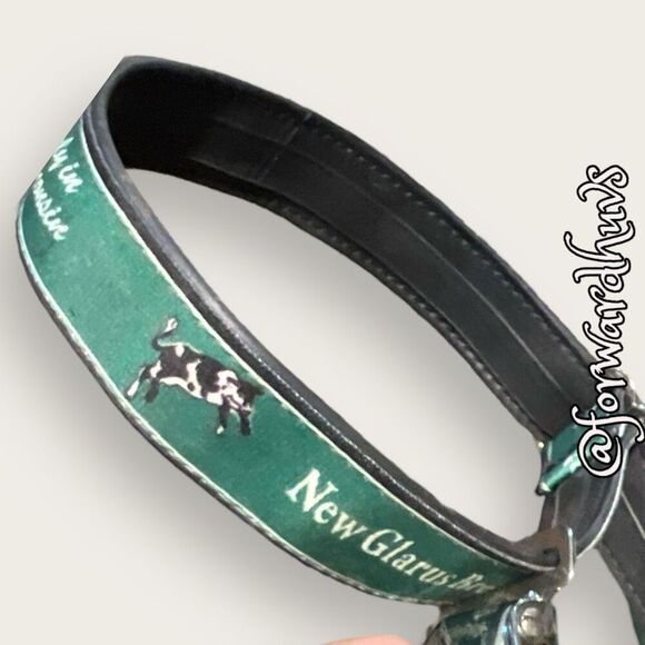 CycleDog New Glarius Brewing Co. Dog Collar with Bottle Opener - Picture 1 of 7